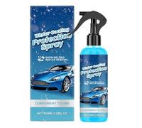 Generisch Windscreen Spray, 100 ml Defrosting Fluid - Melt Spray - For Morning Commuting Drives Truck Cold Weather Outdoor Parking Long Distance Driving Road Trip