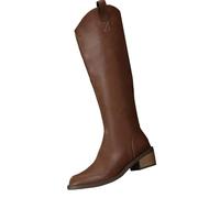 Generisch Women's High Boots Female 2024 Winter New Foreign Trade Big Yards Pointed Thick With V Mouth Long Tube Back Zip European And American Women's Boots Biker Women Black 39, brown, 7 UK