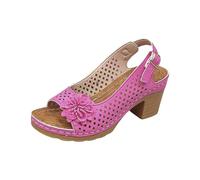 Generisch Women's Sandals with Heel, Elegant Summer Shoes with Flowers, Wide Feet Sandals, Comfortable Open Toe Shoes, Women's Sandals, Festive Women's Shoes, Hollow Out Leisure Shoes, Summer Slippers