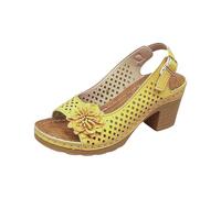 Generisch Women's Sandals with Heel, Elegant Summer Shoes with Flowers, Wide Feet Sandals, Comfortable Open Toe Shoes, Women's Sandals, Festive Women's Shoes, Hollow Out Leisure Shoes, Summer Slippers