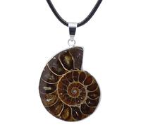 Generisch Women's Shell - Shell Necklace | 13g Portable Women's Shell Necklace, Shell Mineral Specimen Gifts, Lightweight Fossil Snail Pendant Necklace for Women and Men