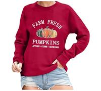 Generisch Women's Sweatshirt with 'Farm Fresh Pumpkins' Print - Long Sleeve Pullover for Autumn | Casual Top in Country House Style, style_q09 red, XXL