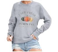 Generisch Women's Sweatshirt with 'Farm Fresh Pumpkins' Print - Long Sleeve Pullover for Autumn | Casual Top in Country House Style, style_q07 gray, XXL