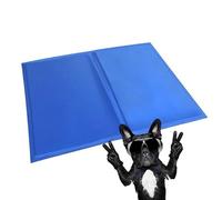 Generise Dual Sided Non-Toxic Wipe Clean Pet Cooling Gel Mat - Suitable for Small Dogs and Cats 40cm x 30cm - Blue