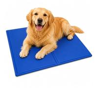 Generise Dual Sided Non-Toxic Wipe Clean Pet Cooling Gel Mat - Suitable for Small Dogs and Cats 50cm x 40cm - Blue