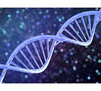 Genes, Brains, and Evolution