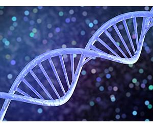 Genes, Brains, and Evolution