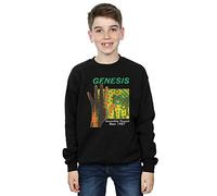 Genesis Boys Invisible Touch Tour Sweatshirt 12-13 years Black
