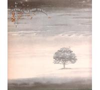 Genesis Wind And Wuthering LP Charisma CDS4005 VG/EX 1976 with inner
