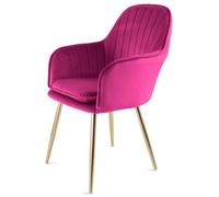 RayGar Genesis Muse Accent Chair In Velvet - Fuchsia Pink, Pink