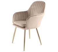 Genesis Muse Velvet Accent Chair Upholstered Modern Chair with Backrest in Taupe | Size: 1 Seater Genesis Taupe 1 Seater