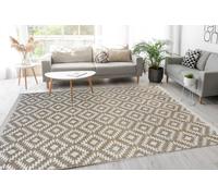 Genesis Natural Indoor Outdoor Rug - 200X290