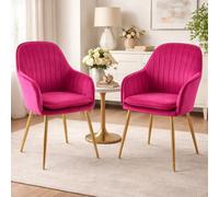 RayGar Genesis Muse Accent Chair In Velvet X 2 - Fuchsia Pink, Pink