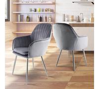 Genesis Pair Of Muse Accent Chairs In Velvet Upholstery - Grey/silver