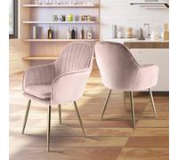 Genesis Pair Of Muse Accent Chairs In Velvet Upholstery - Silver Pink