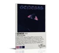 Genesis Peso Pluma Waterproof And Stain Resistant Wall Paintings High-definition Spray Painted Decorative Paintings Study And Coffee Shop Decorations Fade ResistantFrame-style12x18inch(30x45cm)