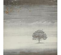 Genesis - WIND AND WUTHERING LP (VINYL) UK CHARISMA 1976