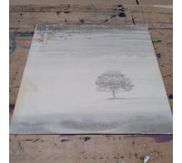 Genesis - Wind & wuthering - LP
