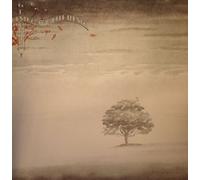 Genesis - Wind & Wuthering [VINYL]
