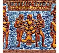 Genetic Drugs - Karma Pharma