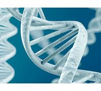 Genetic Engineering