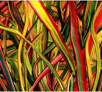 Gengahr - Where The Wildness Grows