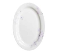 GENHAOSAN Plates Hand-Painted Glaze Color Bone China Dinner Plate Tableware Western Dinner Plate Oval Breakfast Plate Ceramic Plate Dinner Dinnerware
