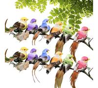 Genikeer 12 Small Birds Clip | Realistic Artificial Foam Bird | Colourful Artificial Feather Foam Birds | Simulated Bird Ornaments | Artificial Bird Decoration For Crafts Home Decors