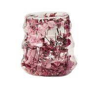 Genikeer Glass Mugs | Dried Flower Glass Coffee Cup,160ml Containers Tumbler for Home Decor Kitchen Beverage Tea Milk Latte Water Christmas Party