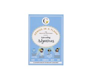 GENIUS IN A FLASH | ASTOUNDING ADJECTIVES | BRIGHT NOT TRITE SERIES | ILLUSTRATED ENGLISH VOCABULARY FLASH CARDS | 11PLUS GCSE IELTS GRE | AGES 9 TO ADULTS