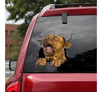 GENMIP 2pcs Dogue De Bordeaux Car Decals, Dog Car Stickers Pack Of 2 - Realistic Dogue De Bordeaux Stickers For Car Windows, Walls Series 107 Size 10" X 10"