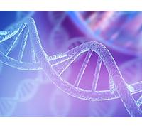 Genome Mutations: Evolution’s Raw Material