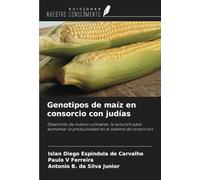 Genotipos de maíz en consorcio con judías: Desarrollo de nuevos cultivares, la solución para aumentar la productividad en el sistema de consorcios