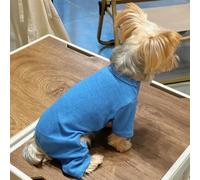 GENPICONG Winter Dog Sweater, Solid Color Knitting Pullover for Chihuahua Puppy and Medium Dogs