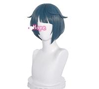 Genshin Impact Xingqiu Cosplay 30cm Wig Short Grey Blue Wig Cosplay Anime Cosplay Wigs Heat Resistant Synthetic Wigs Halloween