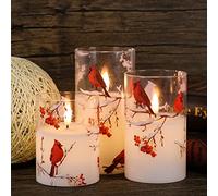 GenSwin Red Bird Glass Flameless Candles with Remote Timers, Battery Operated Moving Wick Led Flickering Light, Real Wax Pillar Candles for Christmas Home Decoration(Pack of 3, 3”x4”5”6”)