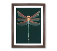 Gentle Dragonfly Framed Print | A4 Walnut Framed Wall Art | Ready to Hang | Modern Animal Picture | Living Room Bedroom Lounge Office