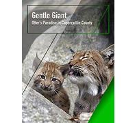 Gentle Giant - Otter's Paradise in Capercaillie County