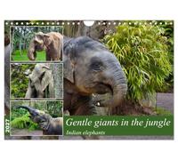 Gentle giants in the jungle (Wall Calendar 2027 DIN A4 landscape), CALVENDO 12 Month Wall Calendar: Portraits of Indian elephants