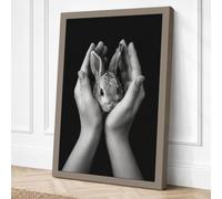 Gentle Hands with Rabbit Canvas Wall Art Print 24x16 Inch (61 x 41 cm)