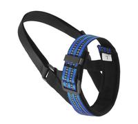 Gentle Muzzle Guard For Dogs Prevents Biting And Chewing Comfort Fit Soft Padded Dog Training Muzzle Pet Supplies(Blue,L)
