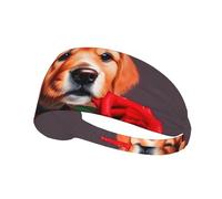 Gentleman-Like Dog Elastic Sports Headband, Unisex Headband, Wicks Moisture and Eliminates Excess Sweat, Suitable for Sports Such As Football, Running and Yoga, Etc.