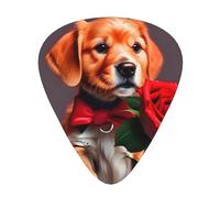 Gentleman-like dog Printed guitar picks for acoustic, electric, and band players, 12 pieces in 3 different thicknesses
