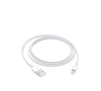 Apple Usb C/lightning 1 M