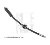 Genuine Blue Print Brake Hose - ADBP530000