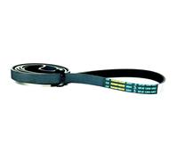GENUINE Bosch Tumble Dryer Drive Belt Size 5PJE 1255 439490 FAST FREE POST [EEK: Compliant]
