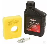 Genuine Briggs & Stratton 992231 Service Kit 450E/500E Series Engine Care Kit