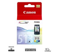 Canon 4541B010 Standard Inkjet Cartridge - Cyan