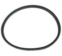 Genuine Champion R484SP & All 18" 46cm Drive Belt Part No 135063800/0