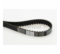 Genuine Continental Timing Belt - CT1005